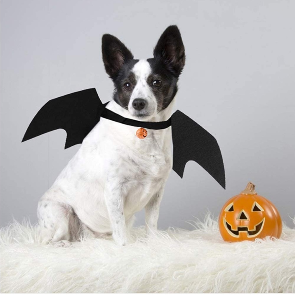 🩵 NWOT Pet Bat Halloween Costume